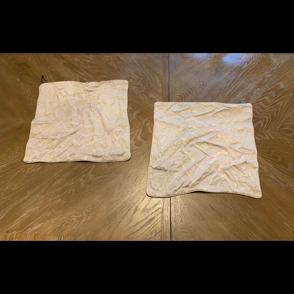 West Elm 18x18 Set of Pillow Cover